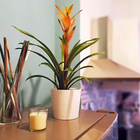 Jaky Maison Torino, Cozy & Modern *